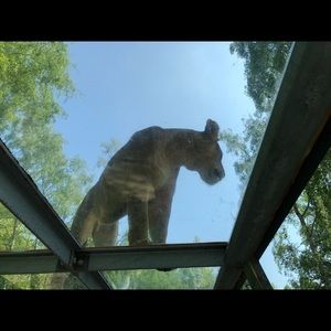 Meet your Posher, Tina m.